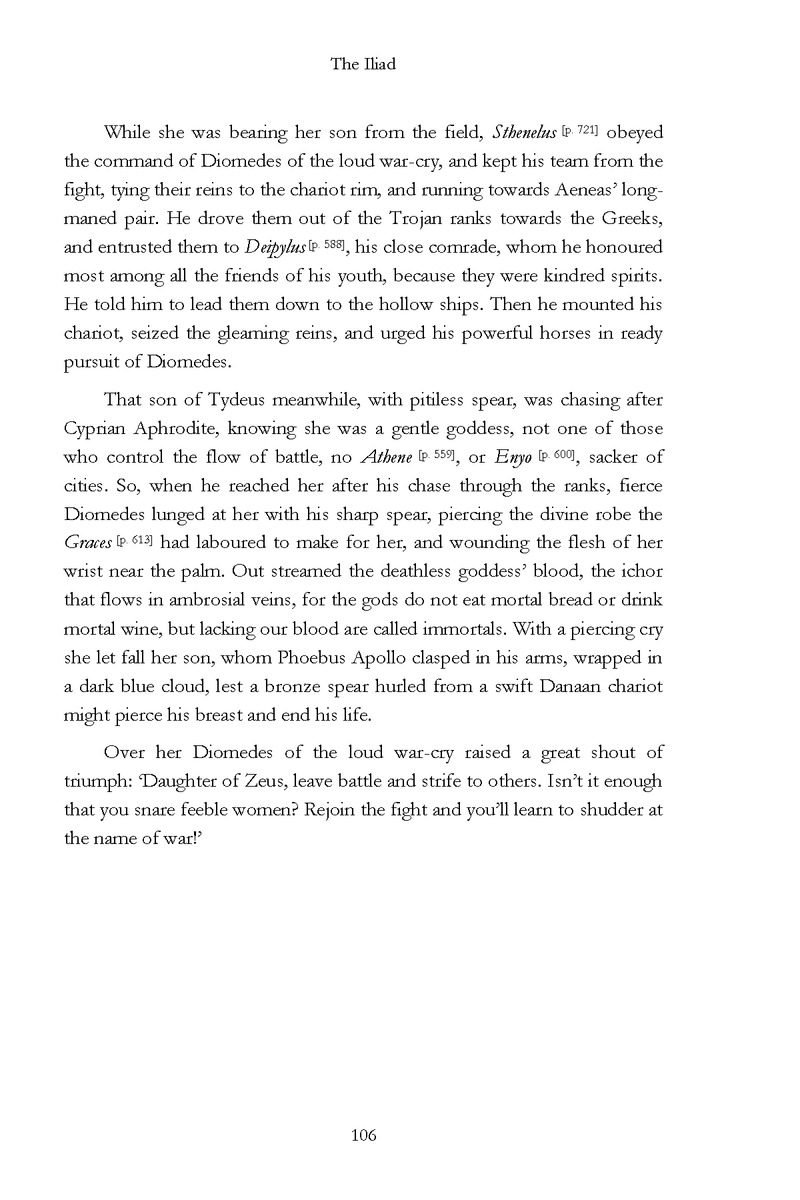 The Iliad - Page 100